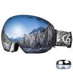 Ski / Snowboard and Other sports goggles, unisex, universal size, black frame - dark grey lens, NG99